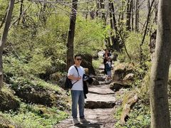 -青峰峡国家森林公园