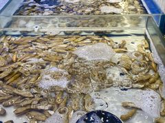 -川骄海鲜自助(河东店)