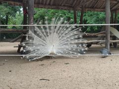 -秦皇岛野生动物园