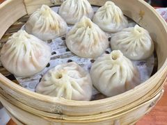 -莱莱小笼·乔艾