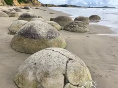 -摩拉基大圆石