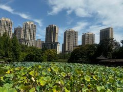 -龙头寺公园