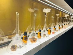 -安屿an·spa(卓悦中心商场店)