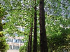 -布丁严选酒店(杭州武林西湖文化广场地铁站店)