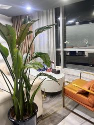 -洁铭新加坡医美