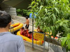 -十渡高山漂流