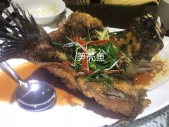 -熠盛粤味·顺德桑拿鸡(永康路店)
