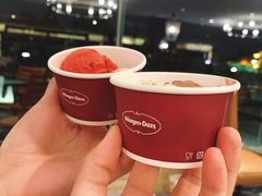 哈根达斯-厦门悦华酒店·绿庭主题自助餐厅