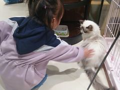 -藏猫猫咖啡主题馆(中央大道店)