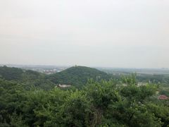 -上海佘山国家森林公园西佘山园