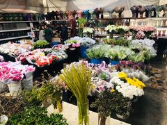 -秦美花卉(天朗·莱茵小城2期店)