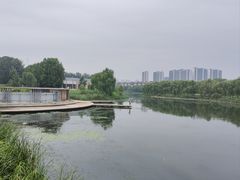 -马家湾湿地公园