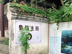 -鲁镇
