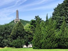 -北坞公园