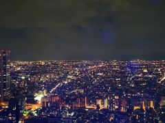 -东京都厅舍