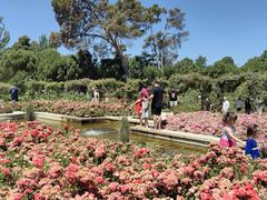 -阿方索十二世纪念碑