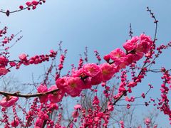 -大兴滨河森林公园