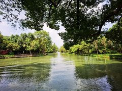 -西溪国家湿地公园