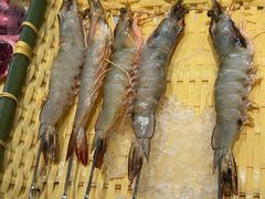 -蚝老板海鲜烧烤大排档(码头店)