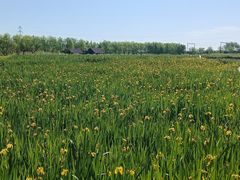 -永定河休闲森林公园