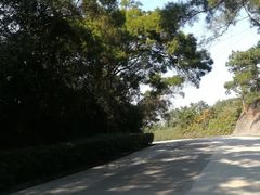 -狐尾山公园