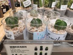 -鹿岛生活(熙地港店)