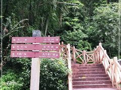 -广州市帽峰山景区