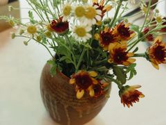 -泓0871臻选云南菜·味庄