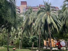 -三亚湾海居铂尔曼度假酒店