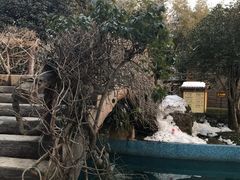 -金孔雀温泉旅游度假村