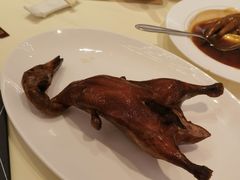 -利苑酒家(合景国际金融广场店)