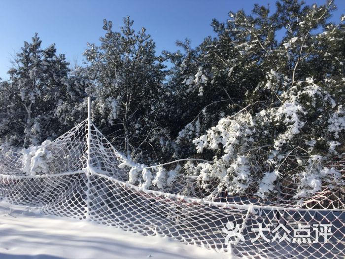 西山冰雪乐园图片