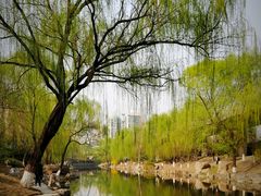 -皇家御河游(紫御湾码头)
