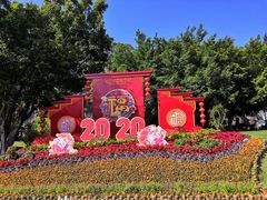 -金鸡山公园