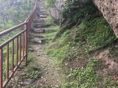 -北京鹫峰国家森林公园