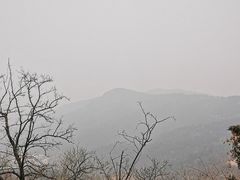 -北京西山国家森林公园