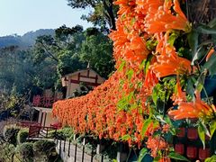 -桃花涧