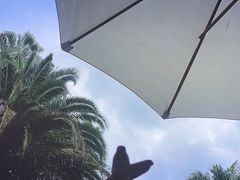 -昆明柏联SPA温泉