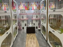 -青奢宠物·青奢猫舍