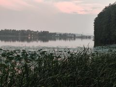 -东湖落雁景区