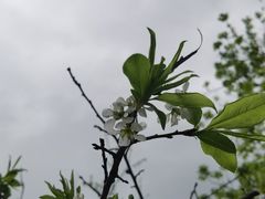 -风云岭森林公园