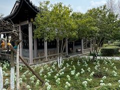 -东湖景区