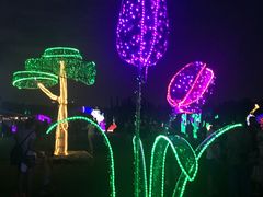 -秀丽东方