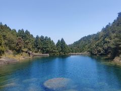 -玉苍山国家森林公园