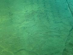 -白鹤梁水下博物馆