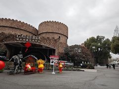 -J Create城市露营咖啡·简餐·宠物(上海动物园店)