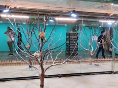 -上海大自然野生昆虫馆(东方明珠·爬宠昆虫探索中心)
