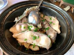 生焗鲩鱼-五稻厨房粤西菜(新闻店)