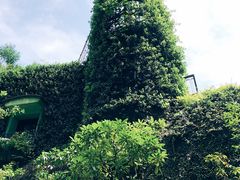 -三鹰之森吉卜力美术馆