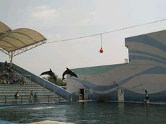 -北戴河圣蓝海洋公园